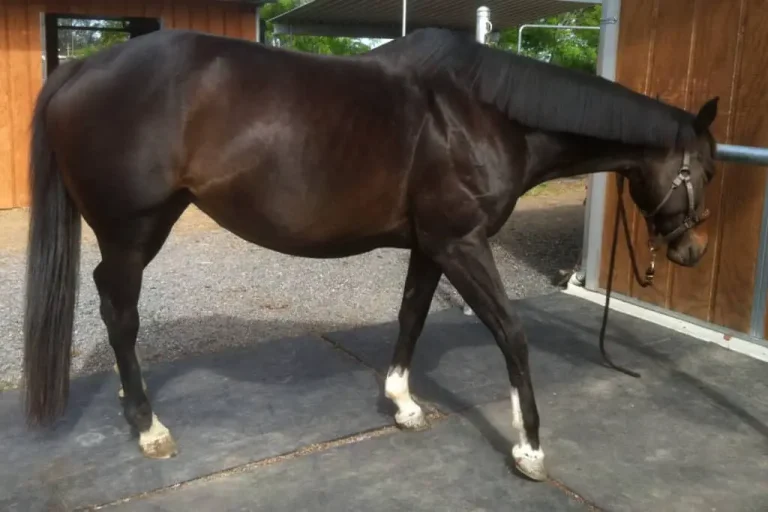 0b00394af17047569ed5b496face82d3