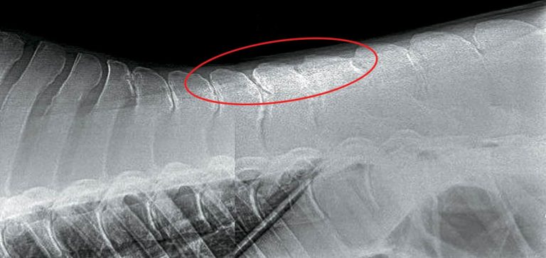 144b4db779e74081816c6dc1760a90e2