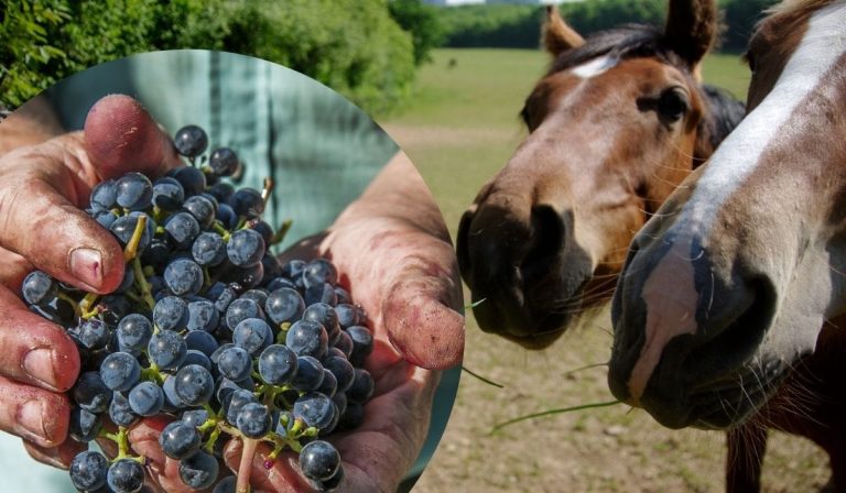 3db6701fad3d489ca4e141f0f8632be5