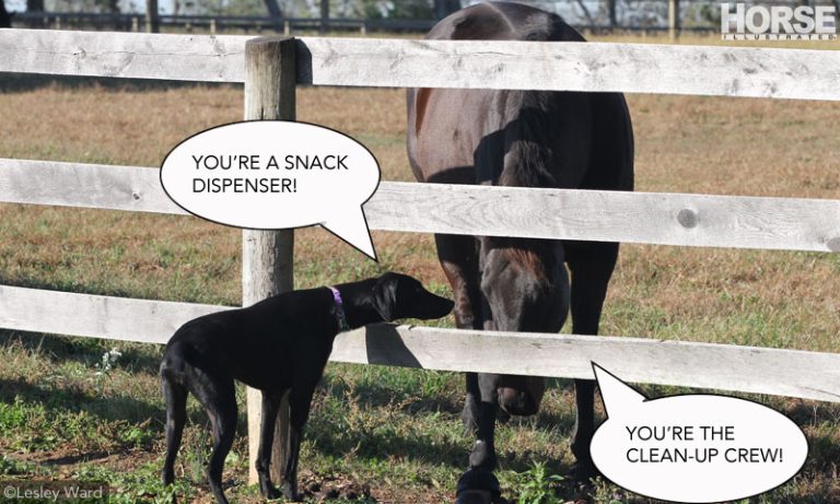 41e0b95741234dafa9ee52eb0d1ebc9b