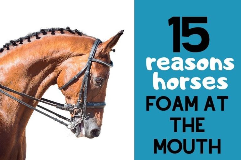 5bfc03ee6f1b4f0ea22ac7bea6ca68ef