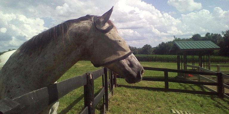 8ab2f738cb4349d6859fb552565d6f94