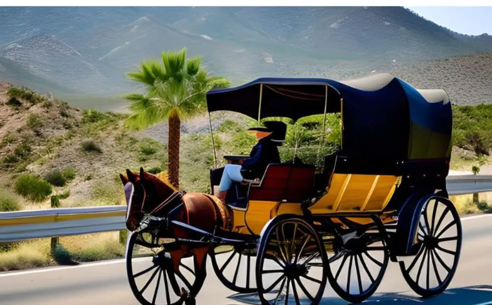 Can you get a dui on a horse and buggy horseray