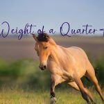How Much Does a Quarter Horse Weigh