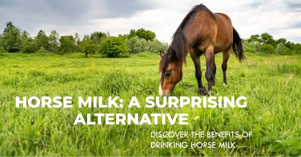 Can You Drink Horse Milk