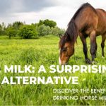 Can You Drink Horse Milk