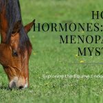 Do Horses Go Through Menopause