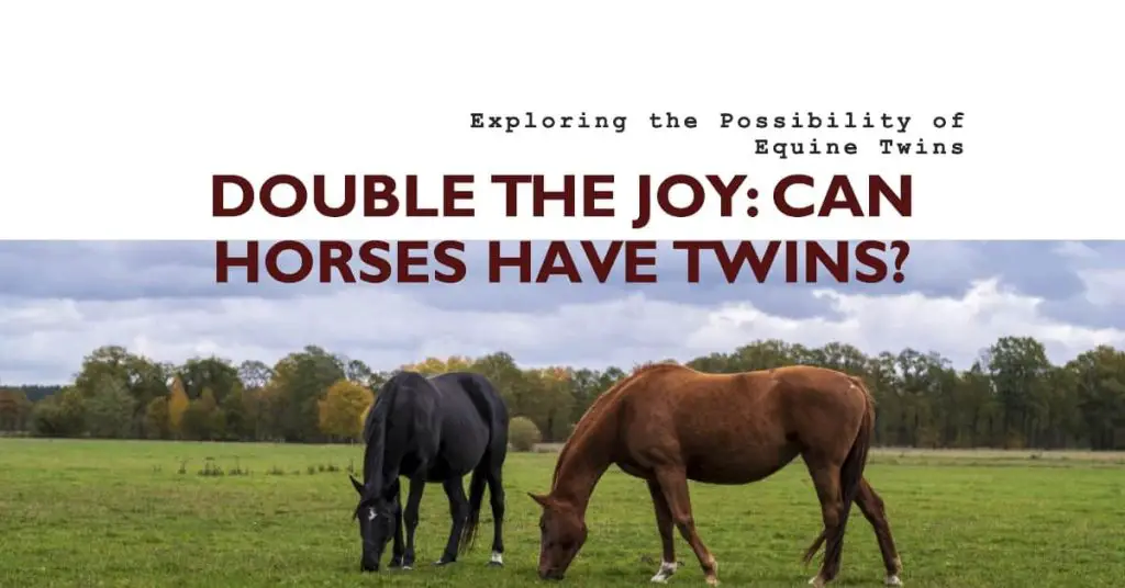 Can a Horse Have Twins