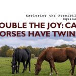 Can a Horse Have Twins
