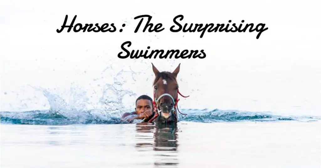 Are Horses Good Swimmers