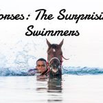 Are Horses Good Swimmers