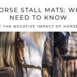 Are Horse Stall Mats Toxic: Know The Bad Impact