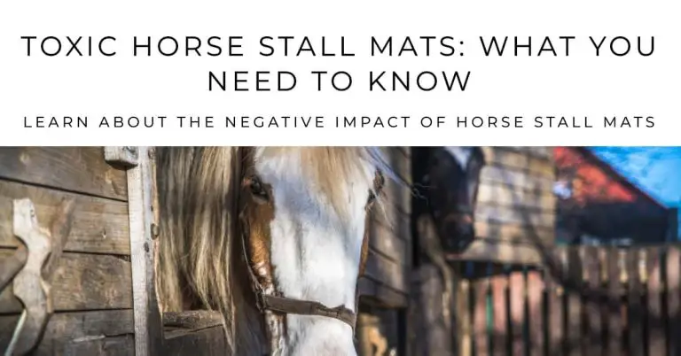 Are Horse Stall Mats Toxic: Know The Bad Impact