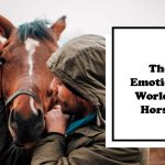 Do Horses Have Feelings: The Way of Express