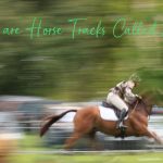 Why are Horse Tracks Called Downs