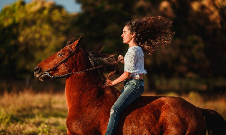 How Cold Can Horses Stay Outside