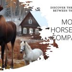 How Big is a Moose Compared to a Horse
