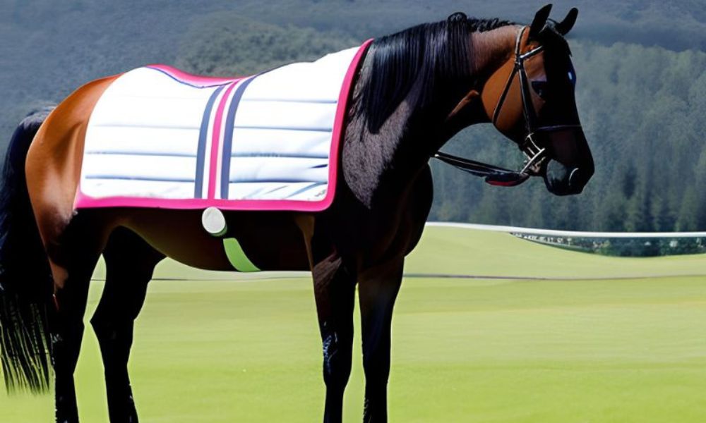 What Size Horse Blanket HORSERAY