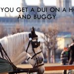 Can You Get a Dui on a Horse And Buggy