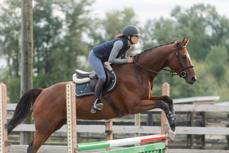 c9236a390c6d4ea3b6cd6f09b1053d37