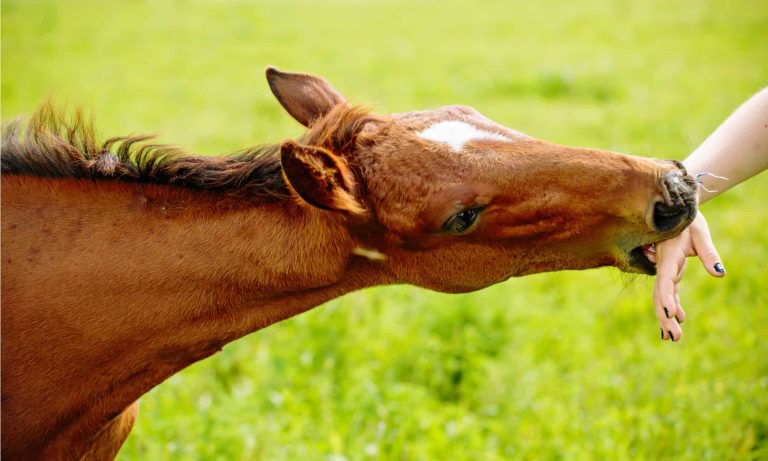 f54ece953b1947c08db95e0e688d870d