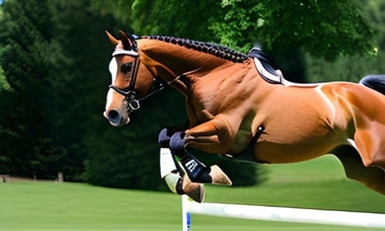 Can a Horse Jump After a Suspensory Injury