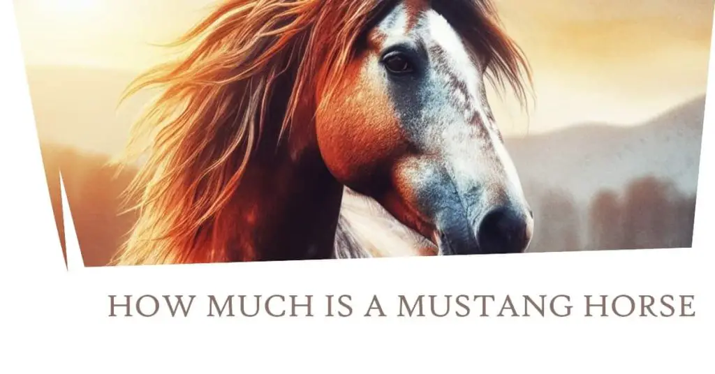 How Much is a Mustang Horse