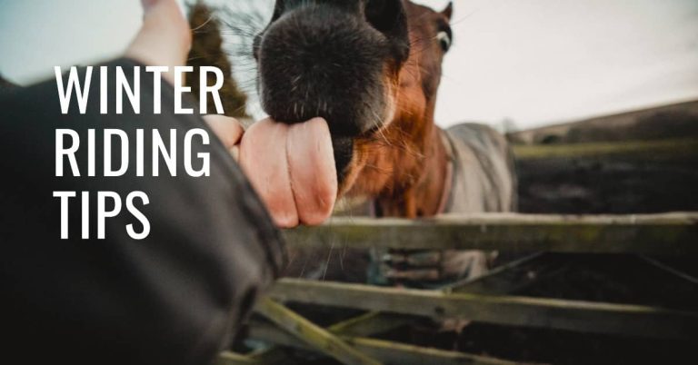 How Cold is Too Cold to Ride a Horse