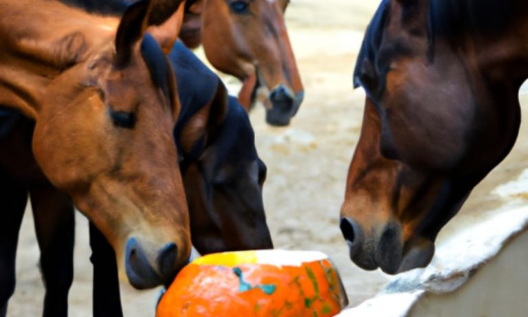 Horses Eat Pumpkin