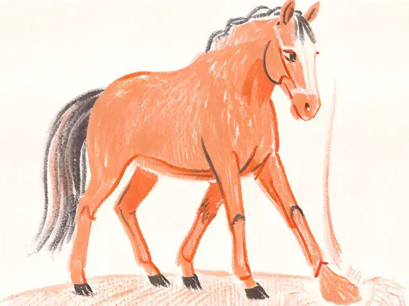 How Do Horses Naturally Trim Hooves