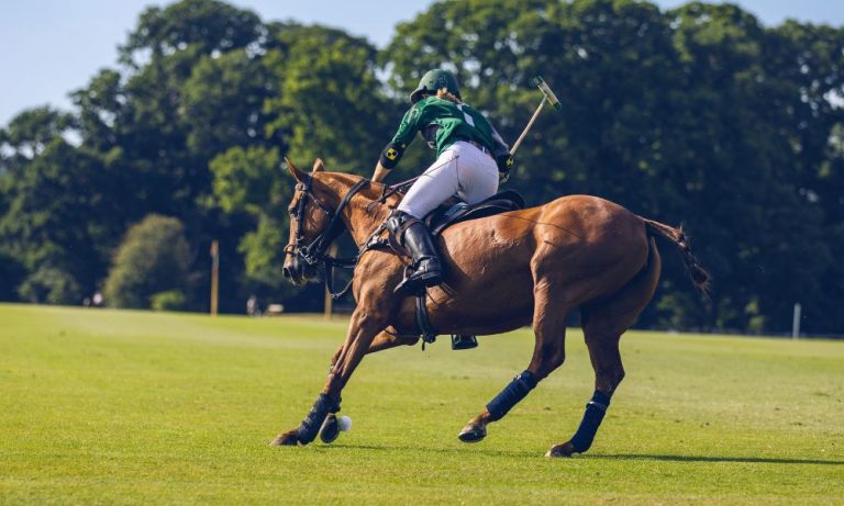 How Long Do Horse Races Last