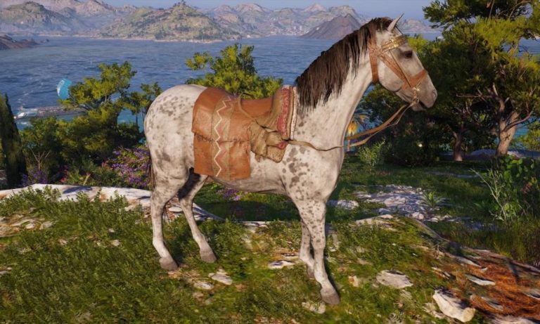 Which Horse Assassin’s Creed Odyssey