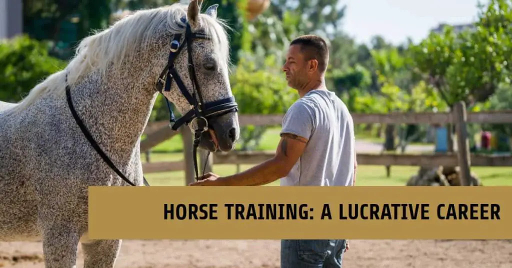 How Much Does a Horse Trainer Make
