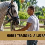 How Much Does a Horse Trainer Make