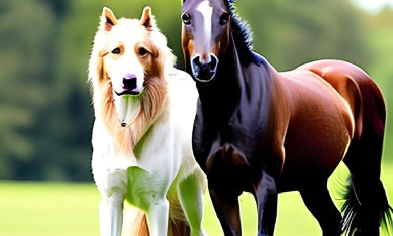 Can You Use Horse Fly Spray on Dogs