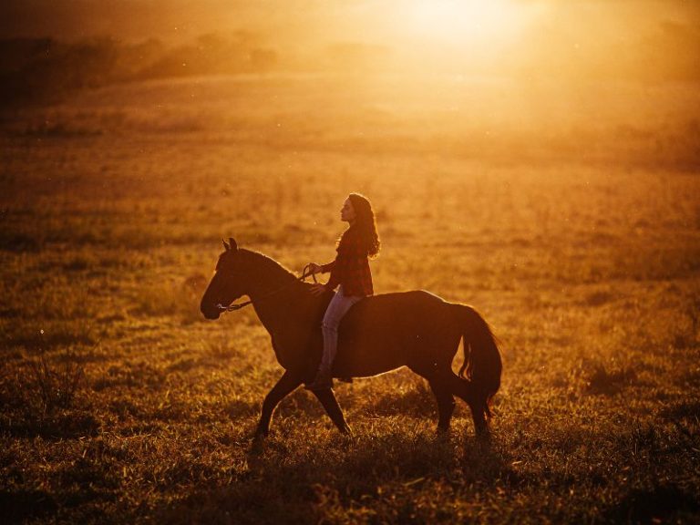 Do You Need a License to Ride a Horse