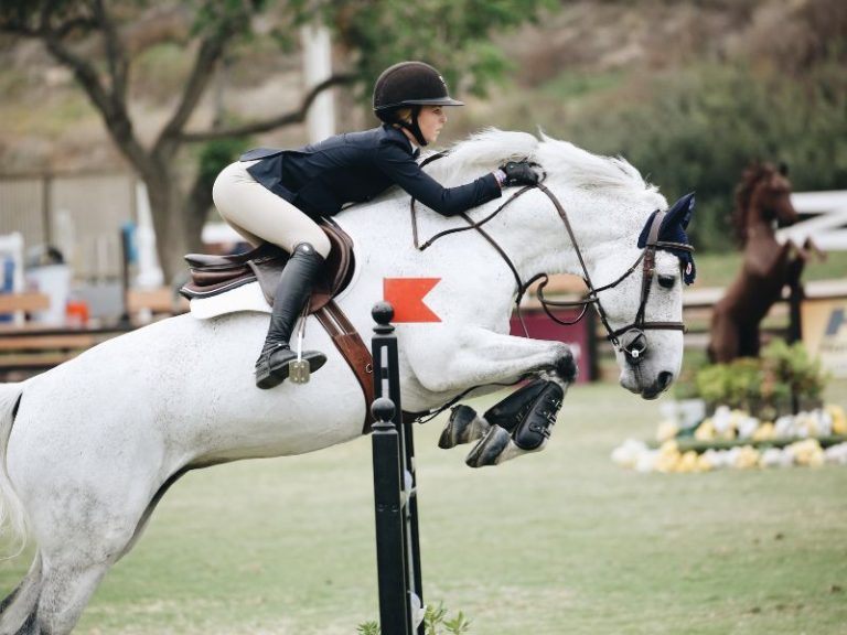 How Long Do Horse Live