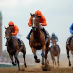 Why Horse Racing is Not Cruel
