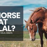 Is Horse Meat Halal