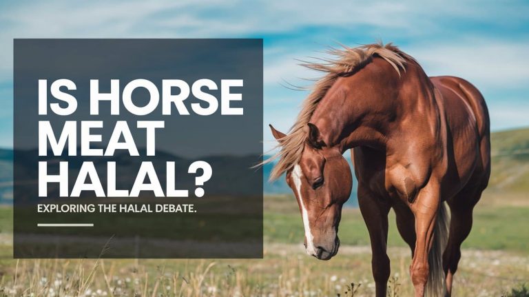 Is Horse Meat Halal