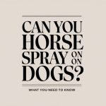 Can You Use Horse Fly Spray on Dogs