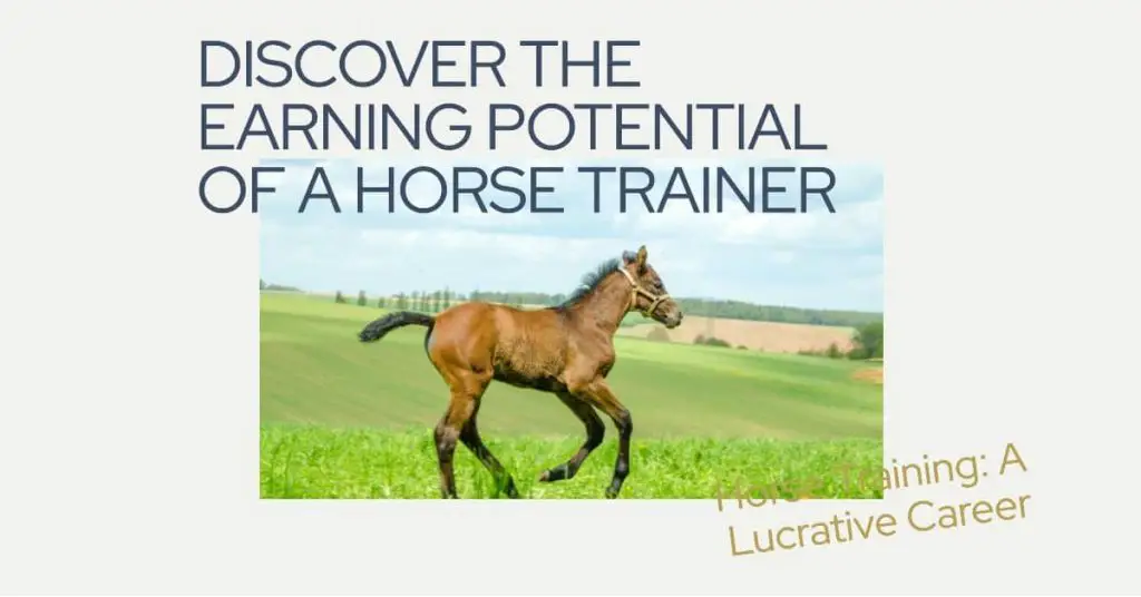 How Much Do the Best Horse Trainers Make? 