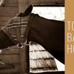 Best Hay Bags for Horses