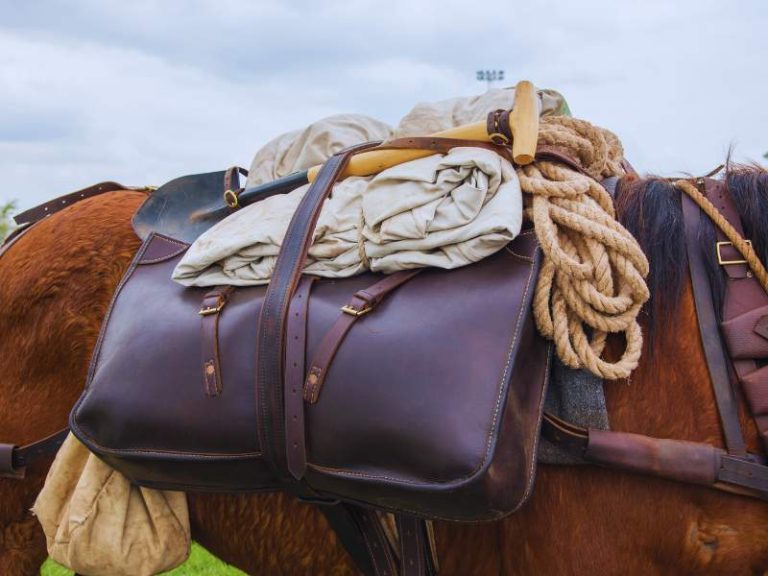 Insulated Saddle Bags for Horses