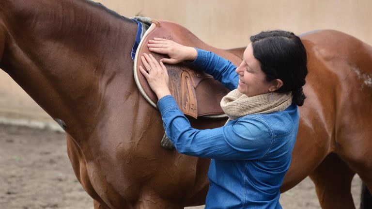 Horse Grooming Tips for Women