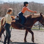 Best Horse Breeds for Female Riders