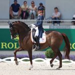 Top Horses for Dressage Competitions