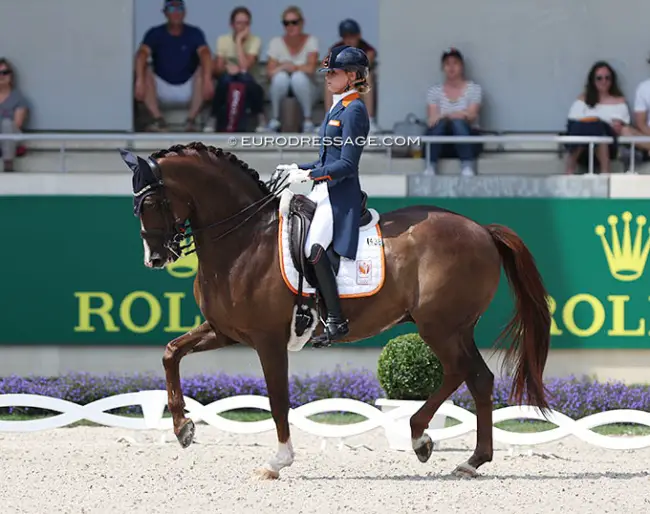 Top Horses for Dressage Competitions