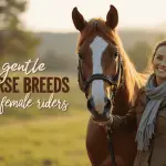 Gentle Horse Breeds for Female Riders