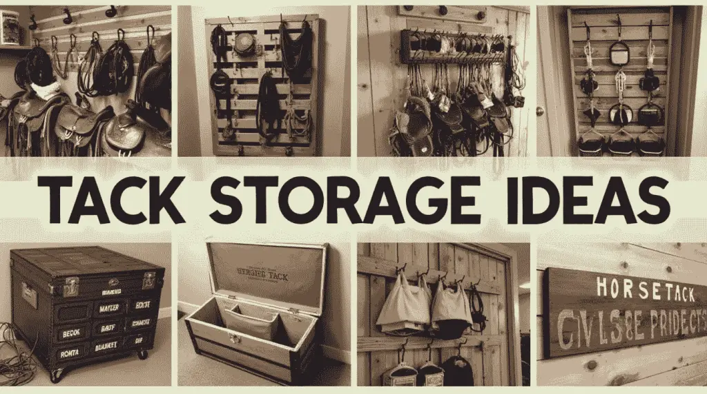 Tack Storage Ideas